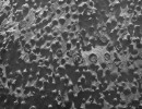 Opportunity fotografía extrañas esferas en Marte