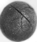 Nuevos Indicios de Que el Período Younger Dryas No Se Debió a un Gran Impacto Meteorítico