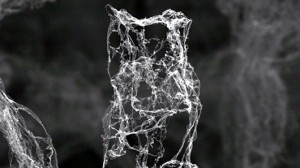 Inventan el aerografito, el material hecho 99,8% de Aire.