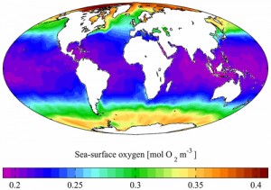 El Cambio Climático está Matando los Océanos