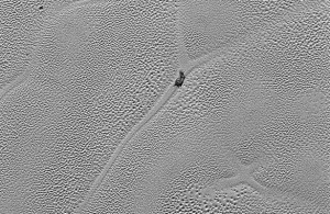 Investigan Extrañas Figuras en la Superficie de Plutón