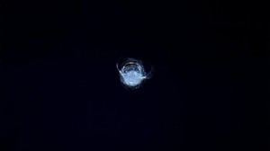 Basura Espacial Impacta contra la Estación Espacial