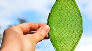 Logran Fotosíntesis Artificial que produce Combustible Líquido!