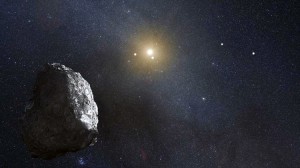 Niku, el Rebelde, Tiene Compañía!