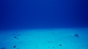 El Fondo Marino se está Hundiendo!