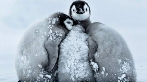 Calentamiento Global?: Registran -100°C en la Tierra