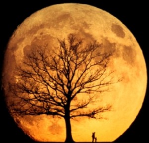 La NASA prepara una misión para estudiar la frágil atmósfera de la Luna