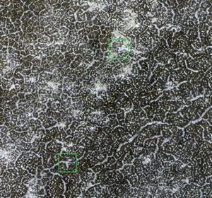 La NASA pierde uno de sus mejores vehículos en Marte