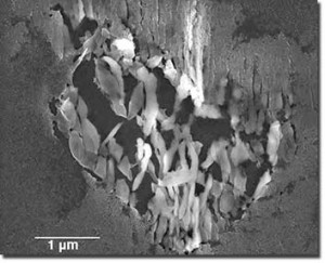 Avance Clave en la Cronología de la Formación de los Cometas