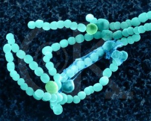 Diez lugares del Universo donde buscar vida extraterrestre