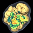 Muerte de una Estrella en 3D