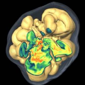 Muerte de una Estrella en 3D